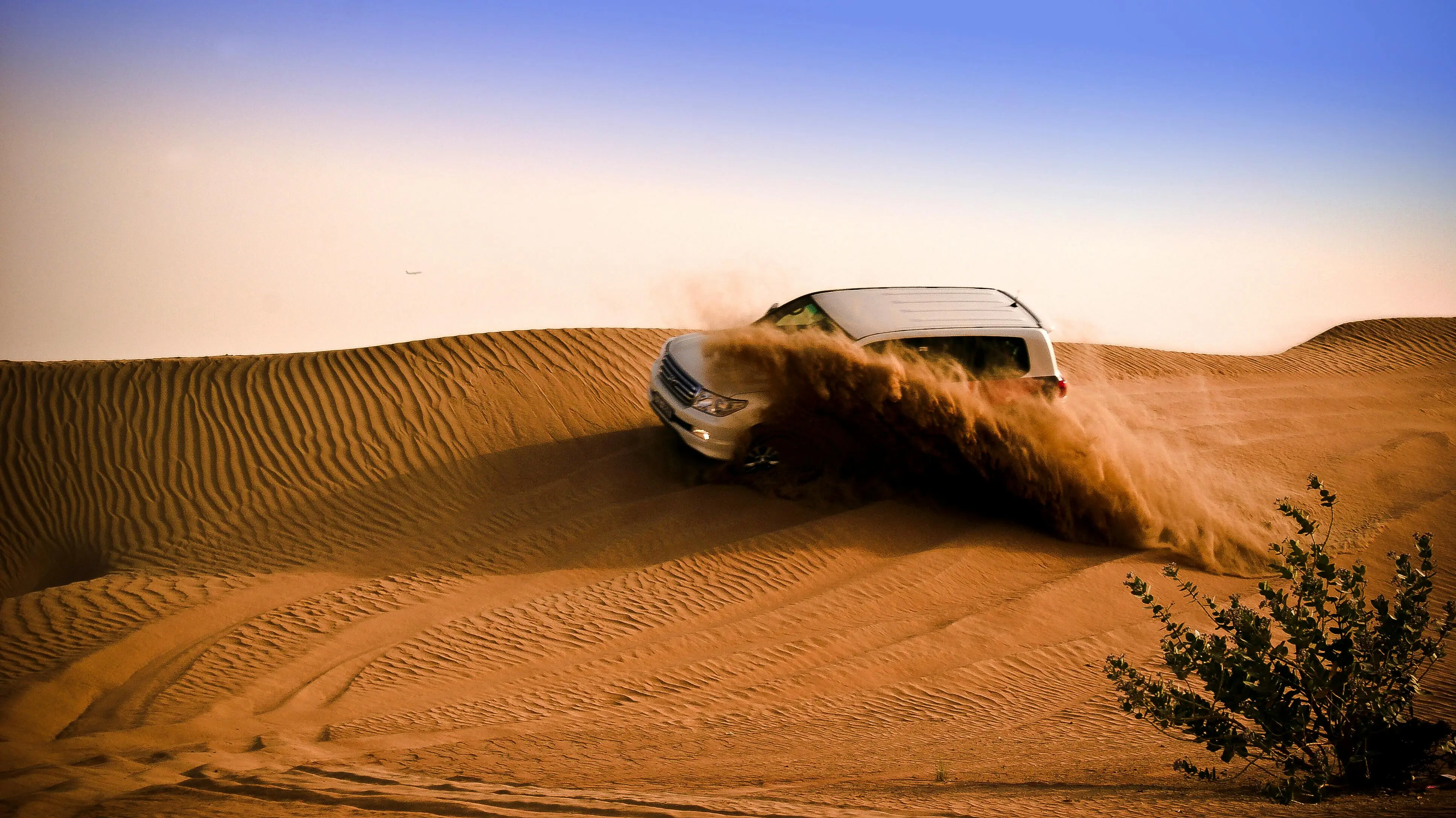 Desert Safari Dubai Adventure - Dune Buggy and Quad Bike Experience