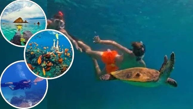 Snoopy Island Snorkeling Tour